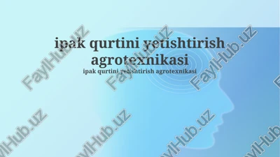ipak qurtini yetishtirish agrotexnikasi — PPTX