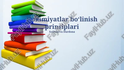 hokimiyatlar boʻlinish prinsiplari — PPTX