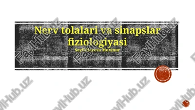 nerv tolalari va sinapslar fiziologiyasi — PPTX