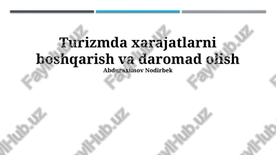 turizmda xarajatlarni boshqarish va daromad olish — PPTX