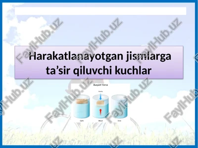 kismlar va kuchlar — PPTX