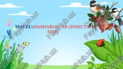 hasharotlar (insecta) sinfi — PPTX