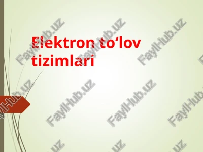 elektron to‘lov tizimlari — PPT