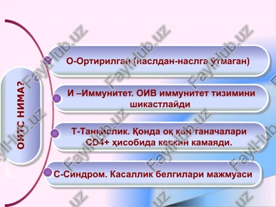 oiv/oits — PPTX