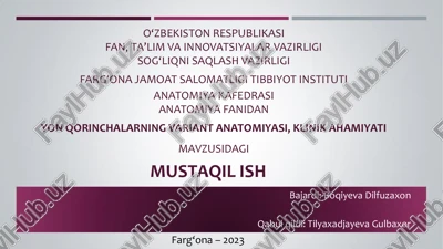 yon qorinchalar anatomiya — PDF
