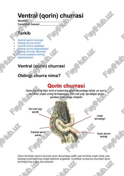 ventral (qorin) churrasi — DOCX