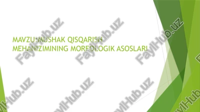 mushak qisqarish mehanizimining morfologik asoslari — PPTX
