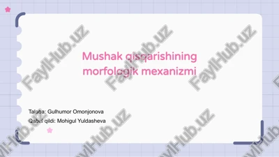 mushak qisqarishining morfologik mexanizmi — PPTX
