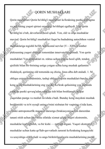 qorin mushaklari — DOCX