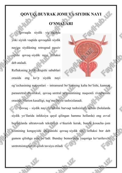 qovuq, buyrak jomi va siydik nayi o’smalari — DOCX