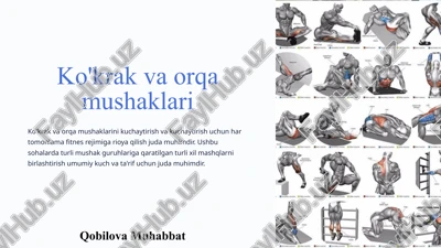 ko'krak va orqa mushaklari — PPTX