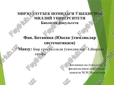 botanika (yuksak o'simliklar sistematikasi) — PPTX