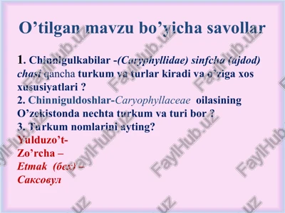 chinnigulkabilar-(caryphyllidae)sinfcha(ajdod)chasiqanchaturkum va turlar kiradiva o’ziga xos xususiyatlari? — PPT