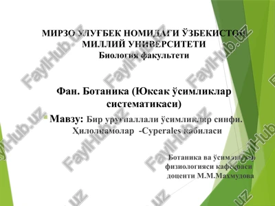 botanika (yuksak o'simliklar sistematikasi) — PPTX