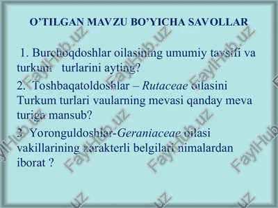 yalpizkabilar-lamidaesinfchasi — PPT