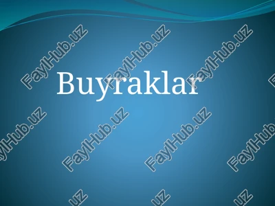 buyraklar — PPTX