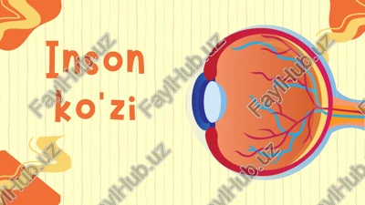inson ko'zi — PPTX