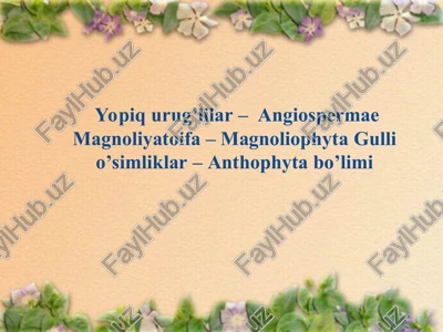 gulli o’simliklar — PPT