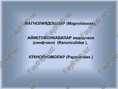 magnoliyadoshlar (magnoliaceae) — PPT