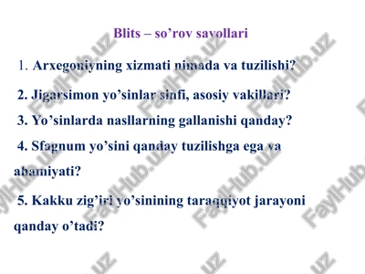 blits – so’rov savollari — PPT