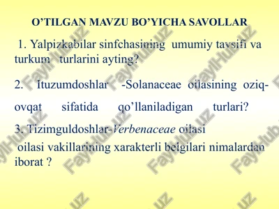 qoqio’tkabilar sinfchasi — PPT