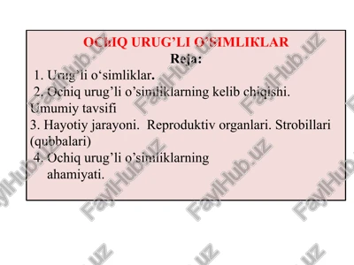 ochiqurug’lio’simliklar — PPTX