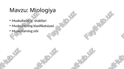 miologiya — PPTX