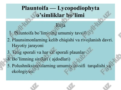 plauntoifa — lycopodiophyta o’simliklar bo’limi — PPT
