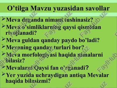 meva morfologiyasi — PPT