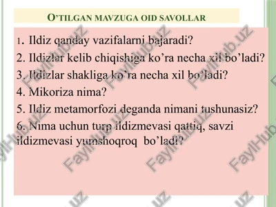 ildizning anatomik tuzilishi — PPTX