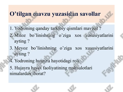 o‘simlik to‘qimalari — PPTX