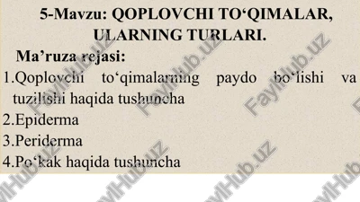 qoplovchi to'qimalar — PPTX