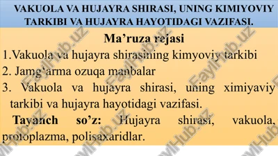 vakuola va hujayra shirasi — PPTX