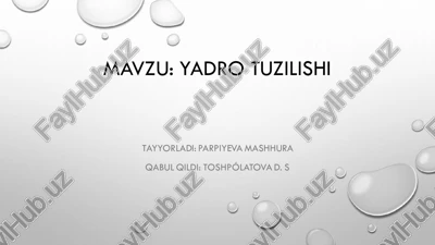 yadro tuzilishi — PDF