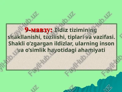 ildizlar — PPT