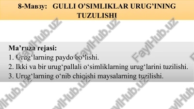 gulli o’simliklar urug’ining tuzulishi — PPTX