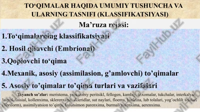 to‘qimalar haqida umumiy tushuncha va ularning tasnifi (klassifikatsiyasi) — PPTX