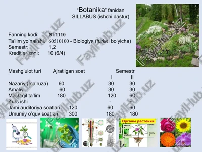 botanika — PPT