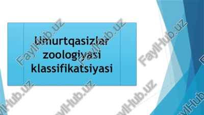 umurtqasizlar zoologiyasi klassifikatsiyasi — PPTX