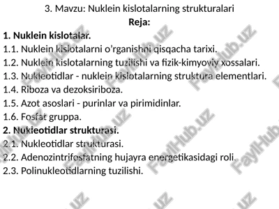 nukleinkislotalarningstrukturalari — PPTX