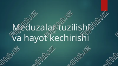 meduzalar tuzilishi va hayot kechirishi — PPTX
