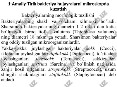 amaliy-tirikbakteriyahujayralarnimikroskopdakuzatish — PPTX