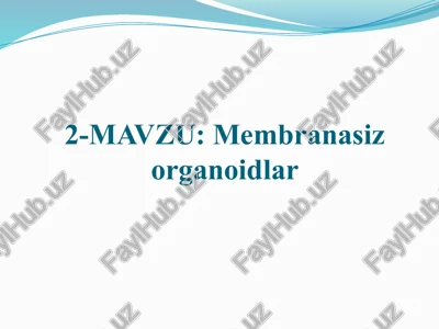 membranasiz organoidlar — PPTX