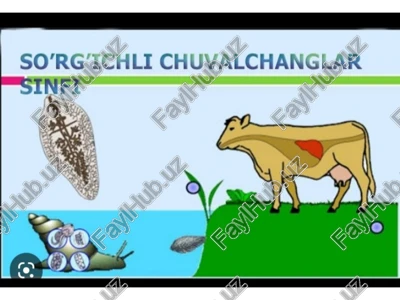 so’rg’ichli chuvalchanglar — PPTX