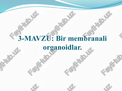 endoplazmatik to‘r — PPTX