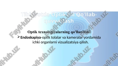 optikani qo'llab-quvvatlash — PPTX
