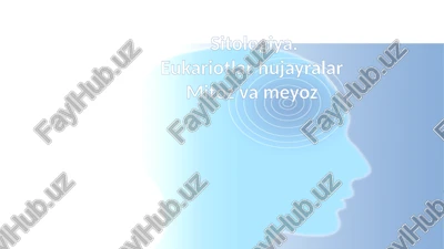 eukariotlar — PPTX