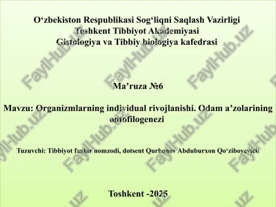 ontogenezning tiplari va davrlari — PPTX