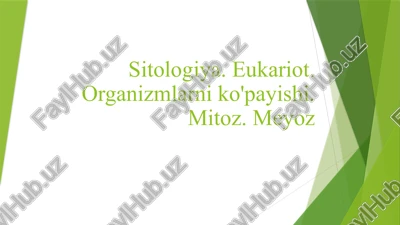 meyoz — PPTX