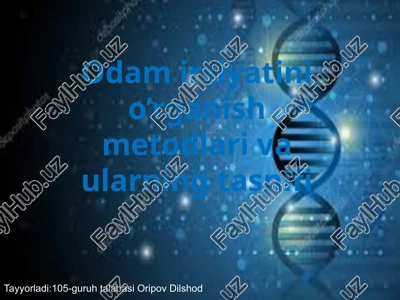 odam genetikasi — PPTX